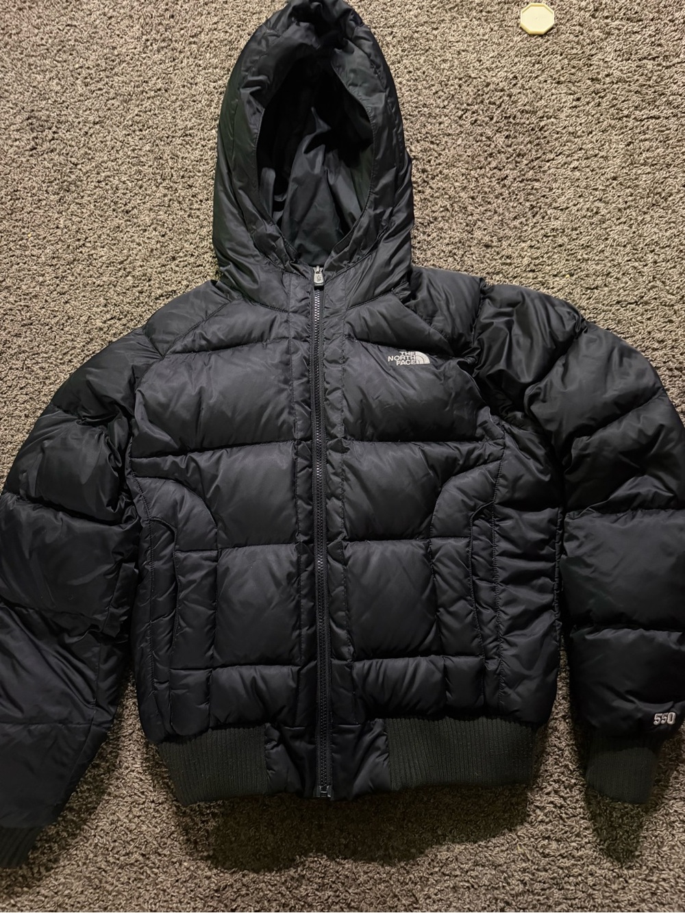 The North Face Women’s Black Puffer 550 Jacket with Hood